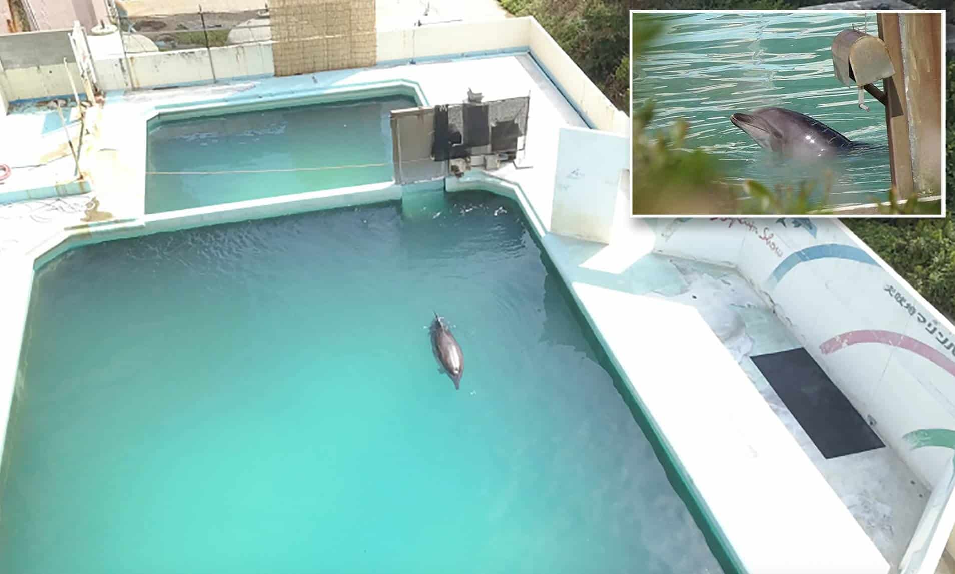 27424454-0-image-a-7_1587399088838 (1)