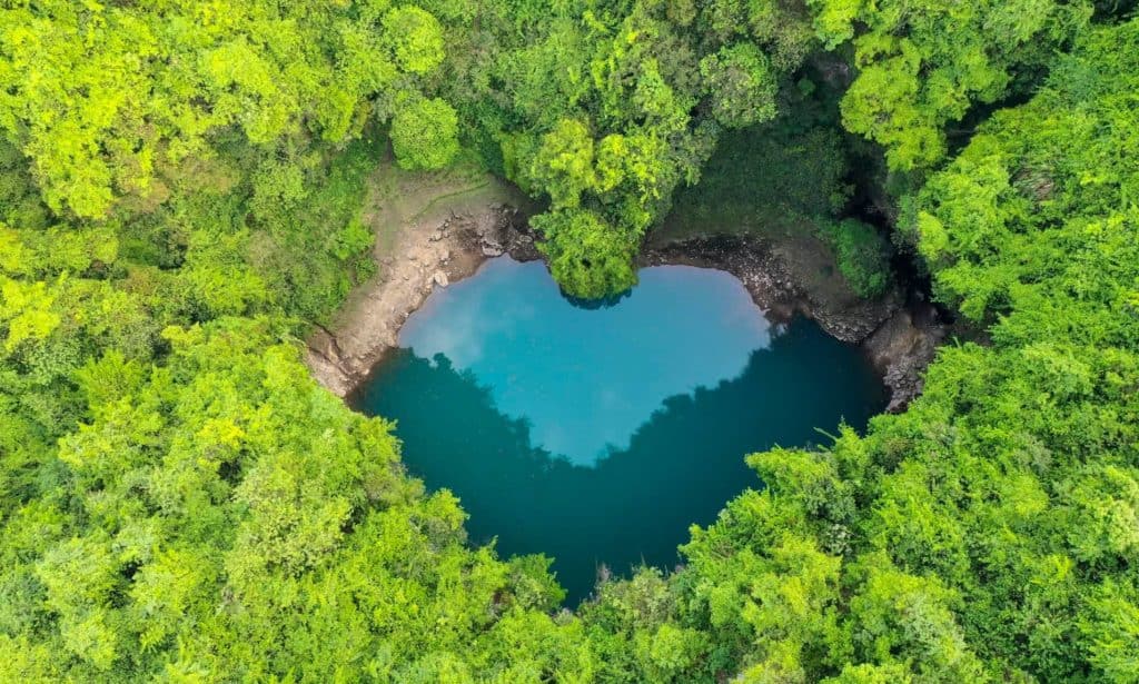 image 27756142 0 image a 3 1588087483848 1