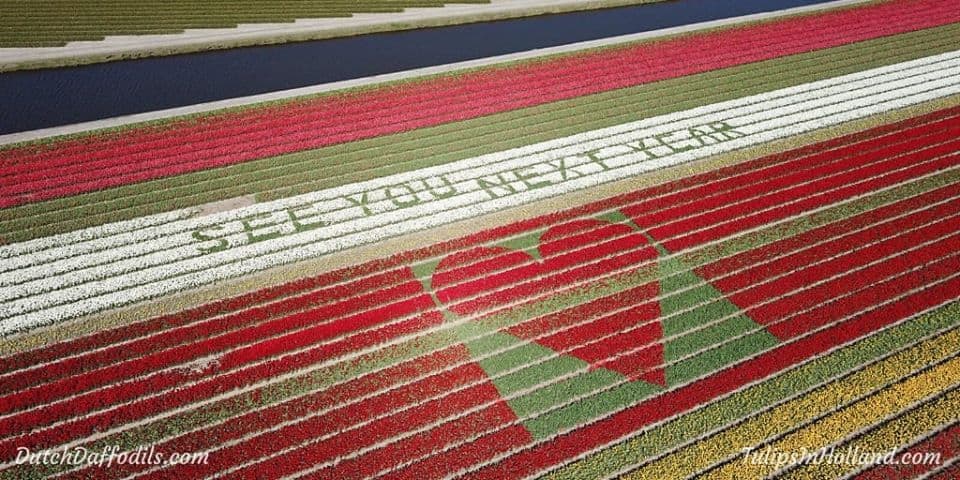 93637781_1553026694844762_1929149445069340672_o