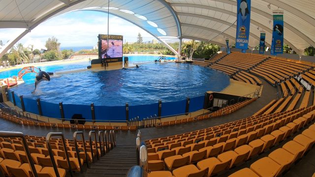 A pesar del cierre por Covid-19, un zoológico en España continúa haciendo presentaciones de animales