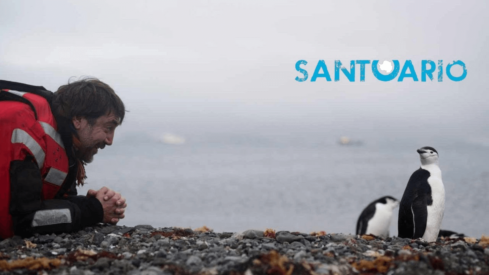 Cuenta regresiva para Santuario, el documental que muestra la lucha por crear el mayor santuario marino en la última zona virgen del planeta 46