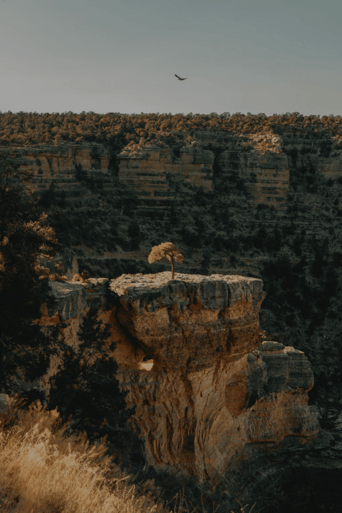 image El Gran Cañón de Arizona disponible a los ojos de todo el mundo a través de un recorrido con Google Earth 7 1