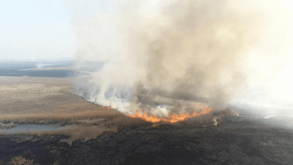 image El mayor parque nacional de Polonia está sufriendo su peor incendio en décadas 3 1