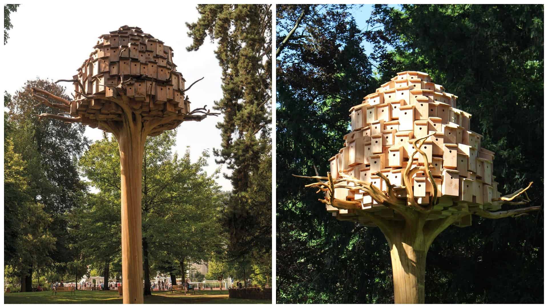 FotoJet - 2020-04-14T110602.779