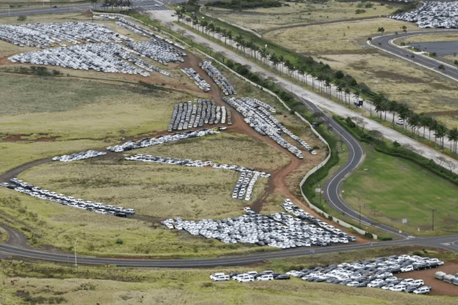 image Hawaii Más de 18.000 coches para alquilar duermen en campos de caña de azúcar debido a la dramática ausencia de turistas en la zona 7 1