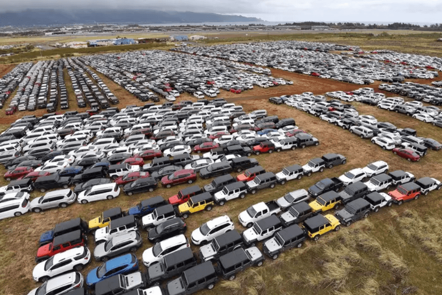 image Hawaii Más de 18.000 coches para alquilar duermen en campos de caña de azúcar debido a la dramática ausencia de turistas en la zona 9