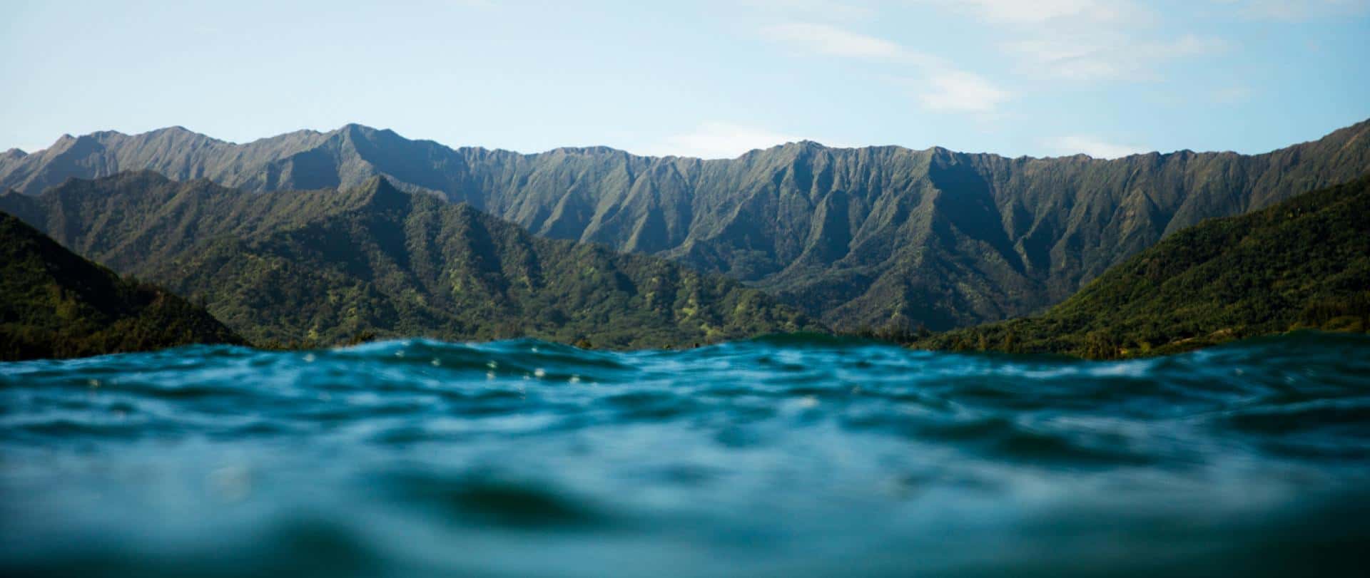 Homepage_Hero_042019v1