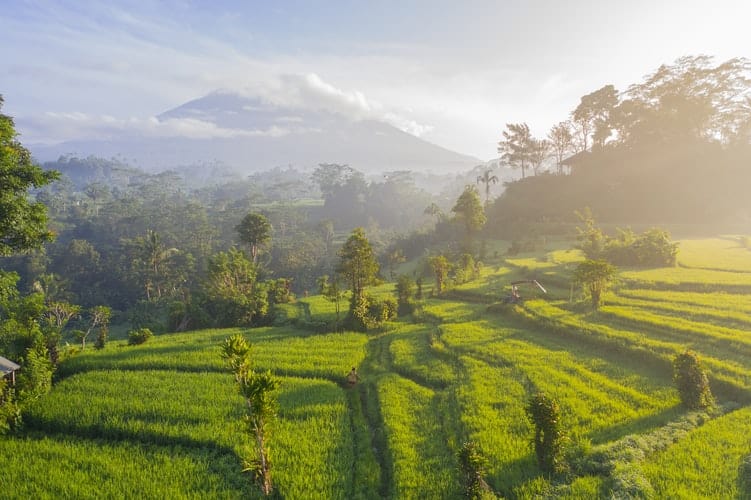 image bali Imperdibles de Bali Estos son los lugares que debes visitar en tu primer viaje a la isla de los dioses 33