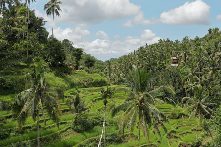 image Imperdibles de Bali Estos son los lugares que debes visitar en tu primer viaje a la isla de los dioses 8