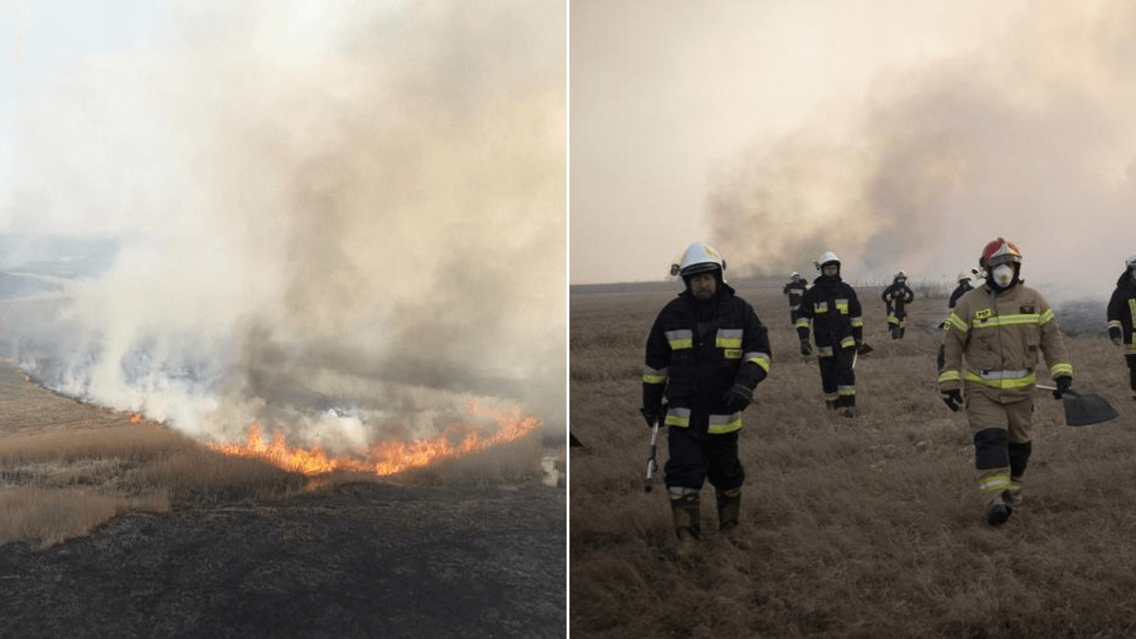 Incendio en el parque nacional más grande de Polonia