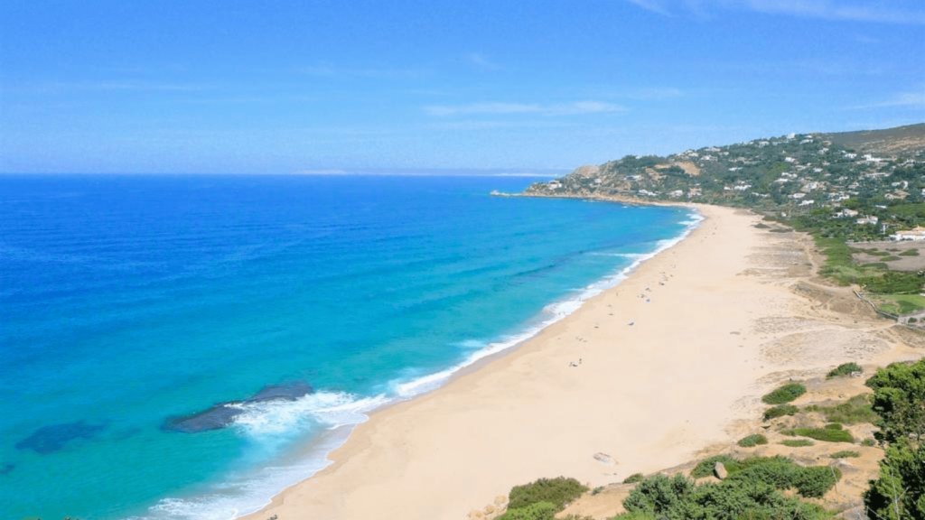 image Polémica en España ante la fumigación de playas con lavandina altamente perjudicial para la flora y fauna 7