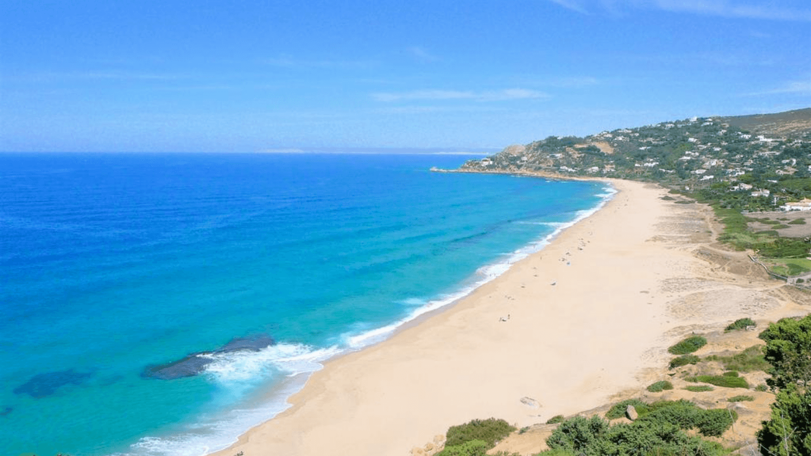 Polémica en España ante la fumigación de playas con lavandina, altamente perjudicial para la flora y fauna 7