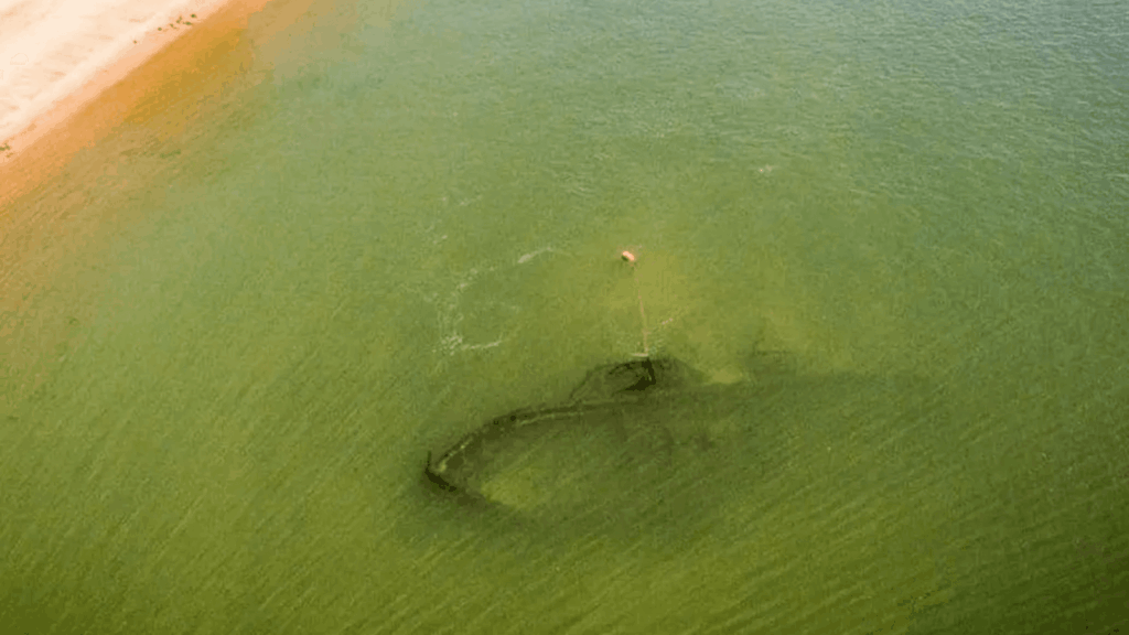 image Por el bajo nivel de agua en el río Paraná descubrieron restos de un barco de vapor hundido a principios del siglo XX 4