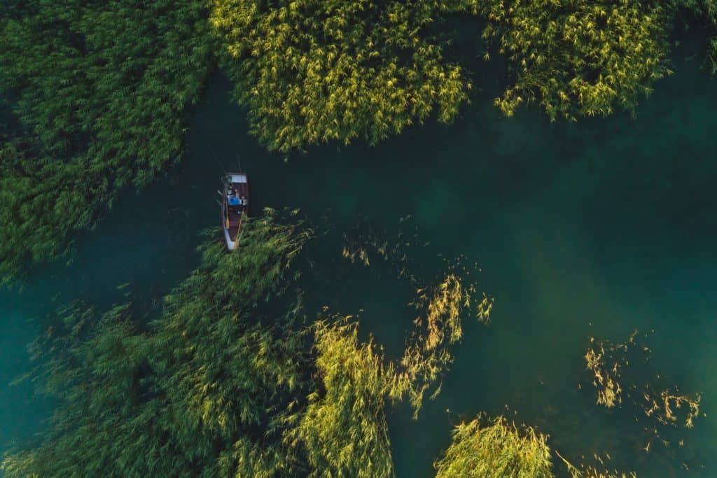 image Taller de fotos y videos aéreos lo que debes saber del mundo de los drones 4 1