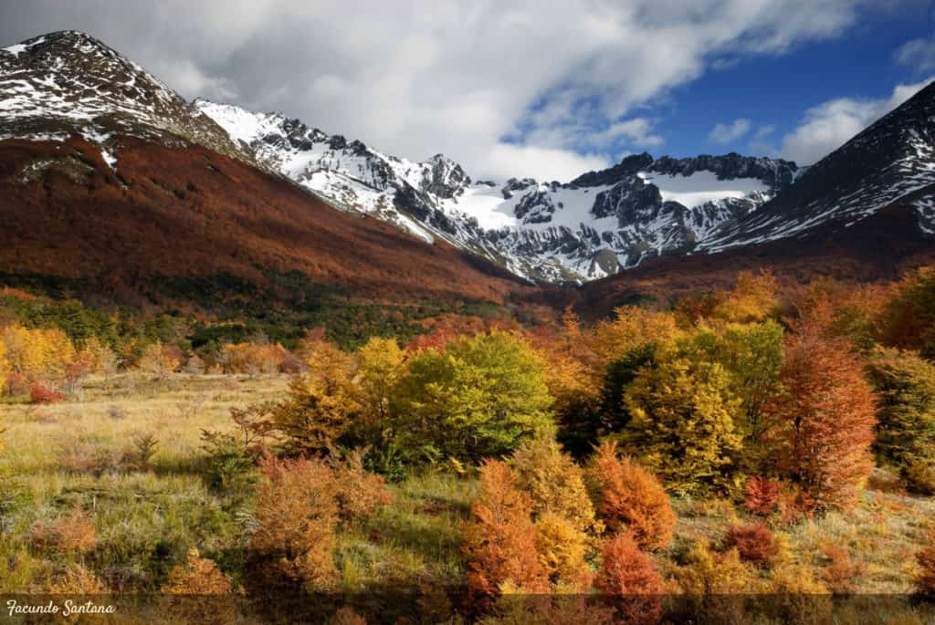 image Tierra del Fuego convoca a los viajeros a experimentar turismo virtual y disfrutar sus principales atractivos 30 1