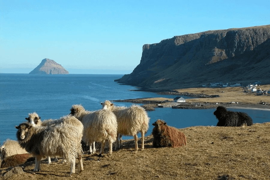 image Una isla que tiene nube propia y puedes visitar en el mar de Noruega 1