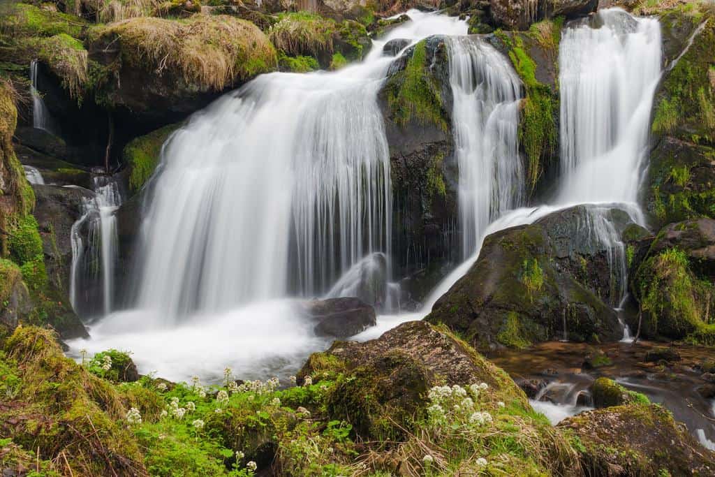 image selva negra black forest germany alemania