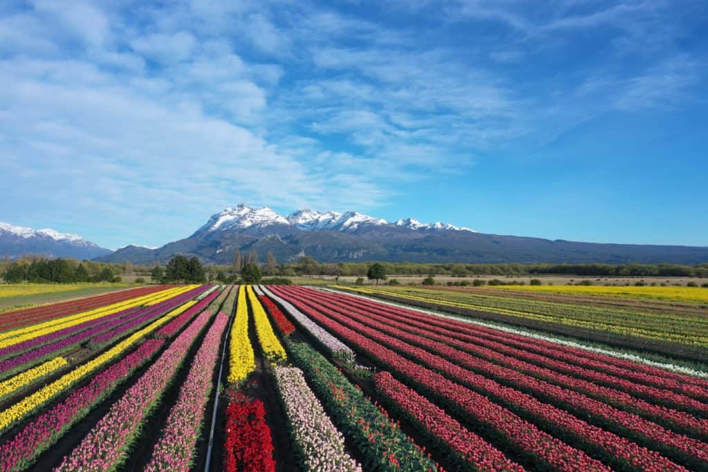  lugares para viajar por América del Sur