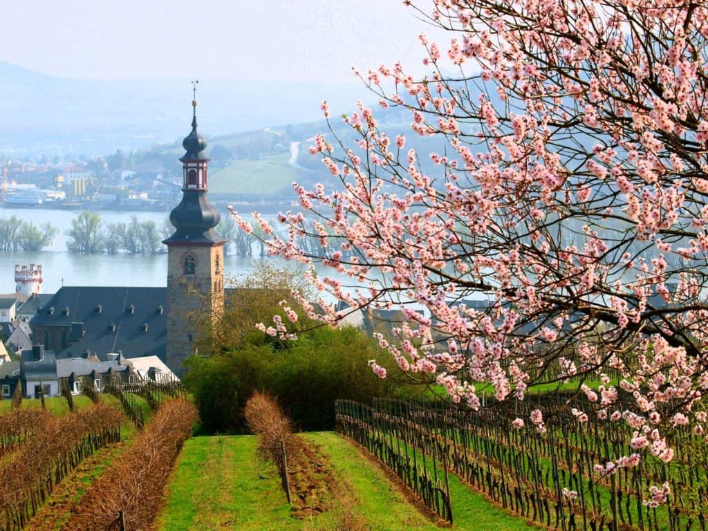 image Isla Tintipán 11044611 1097857273573190 2000943870246639534 o