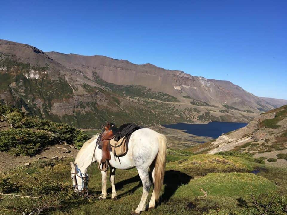 Autobús, avión... ¡y a caballo!: Así es cómo ayudaron a una turista británica varada en la Patagonia argentina a regresar a casa image Autobús avión... y a caballo Así es cómo ayudaron a una turista británica varada en la Patagonia argentina a regresar a casa 8