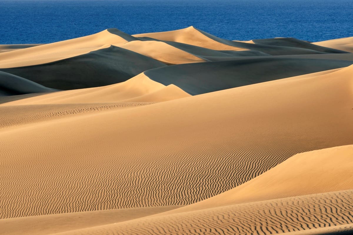 Dunas