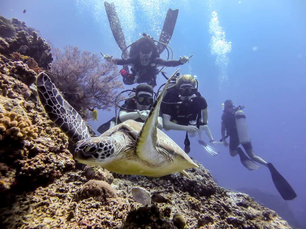 image Guía definitiva de lugares que no te puedes perder si estás deseando un viaje de buceo 24 1