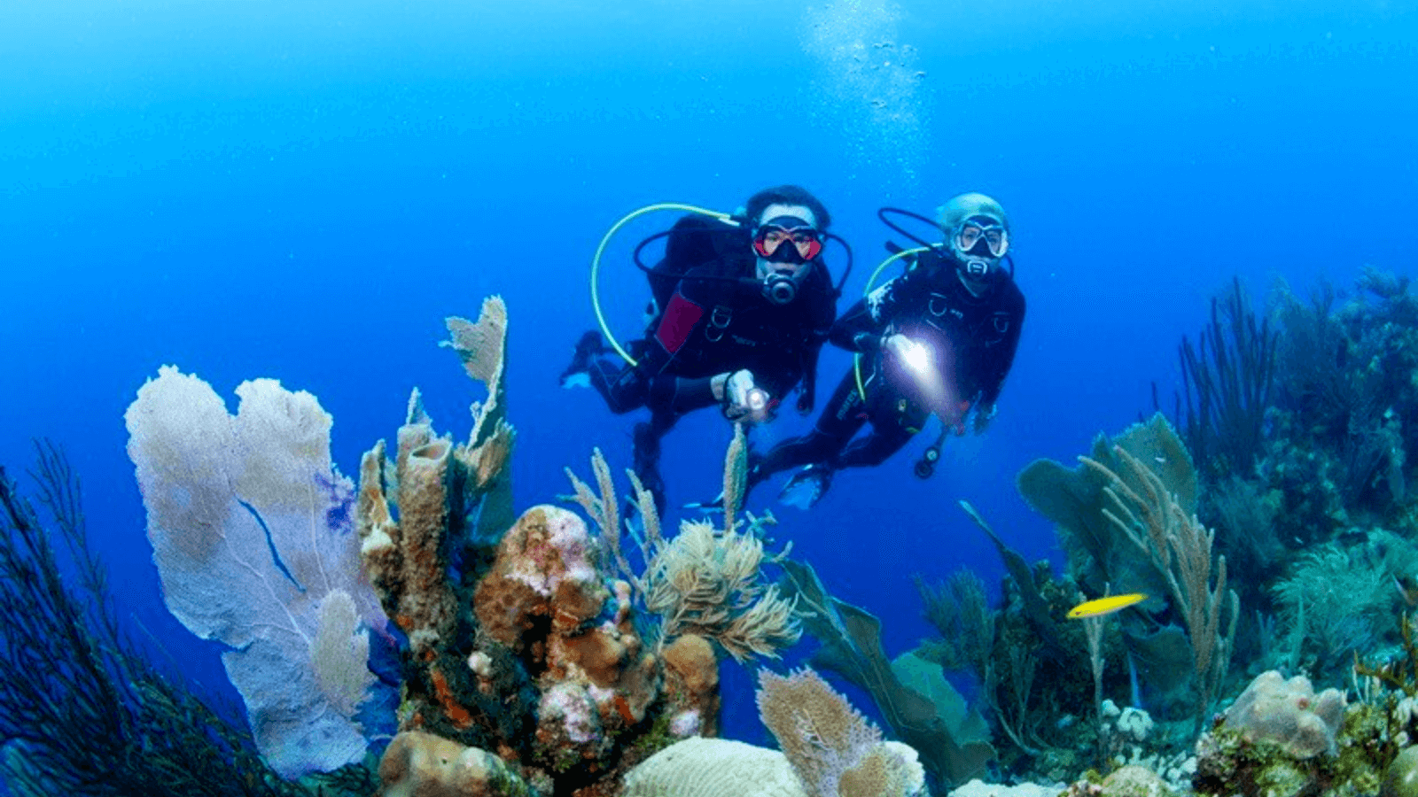 Guía definitiva de lugares que no te puedes perder si estás deseando un viaje de buceo 6