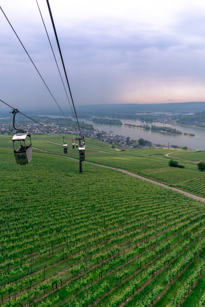 image Intriper Rudesheim am Rhein Vineyards 1