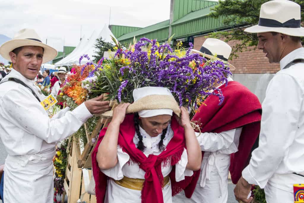 image feria de flores NIC 8616