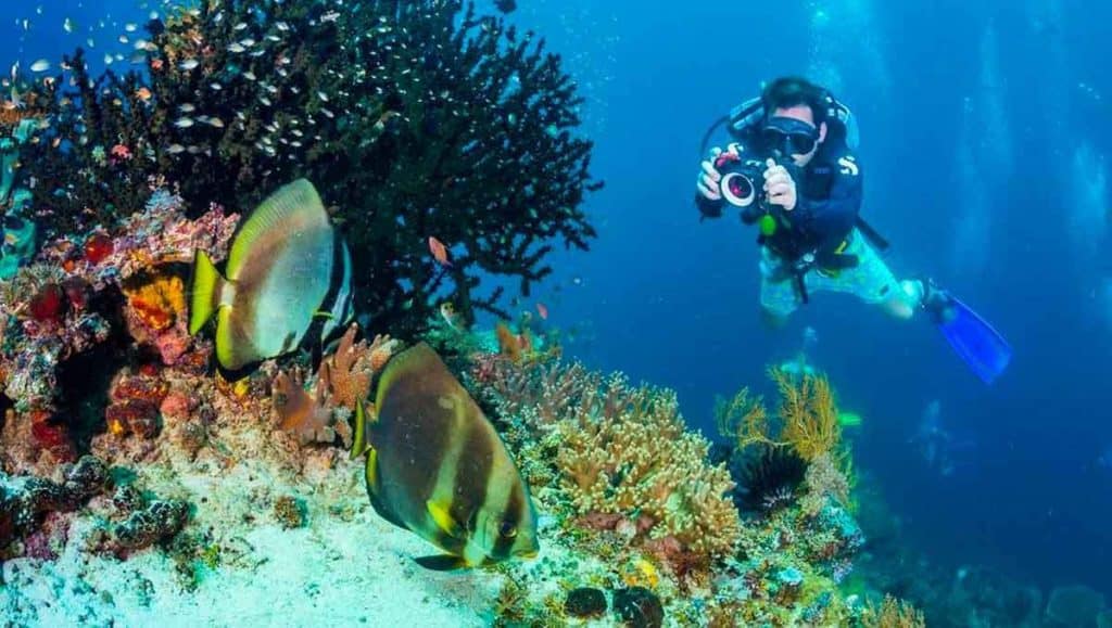 image Raja Ampat Buceo