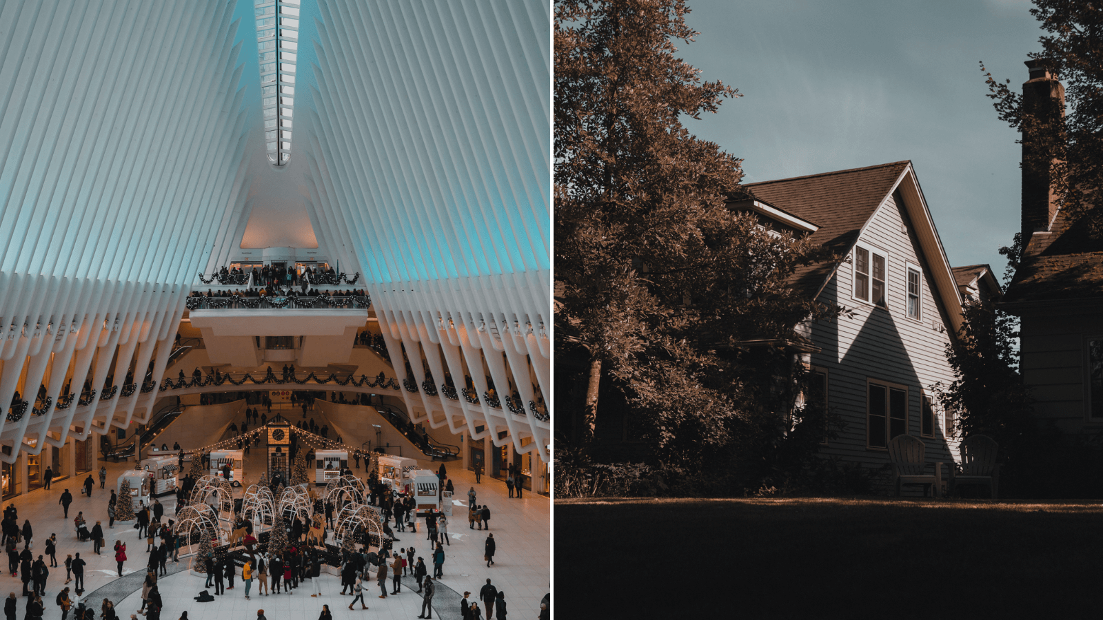 Viral Un fotógrafo daltónico compartió sus registros de cómo ve el mundo y las imágenes son espectaculares 3