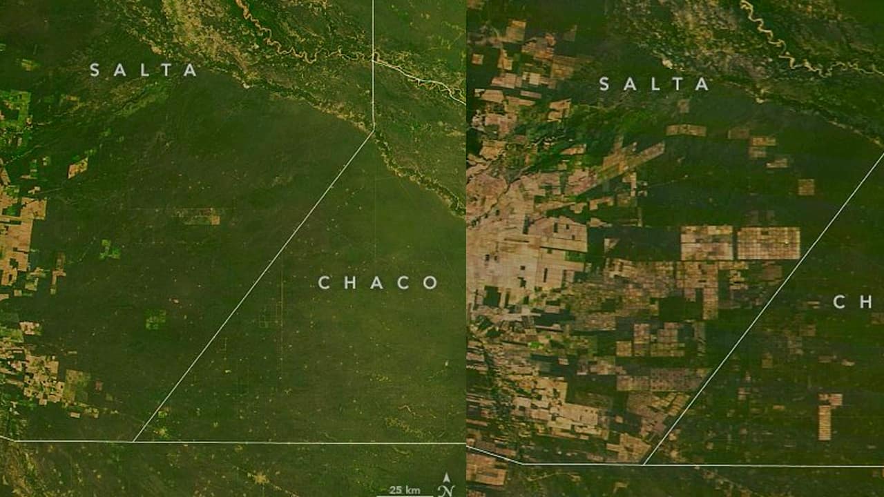 desmontes en chaco nasa