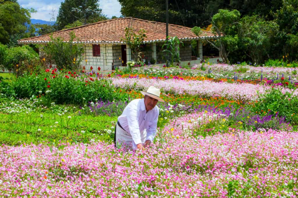 image feria de flores finca santa elena medellin