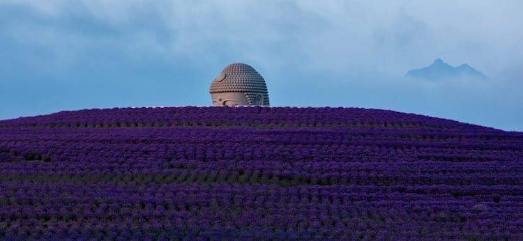 image buda gigante hill of the buddha tadao ando 1