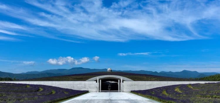 image buda gigante hill of the buddha tadao ando 3