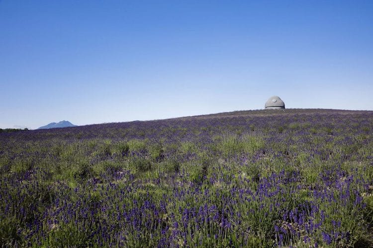 image buda gigante hill of the buddha tadao ando 4