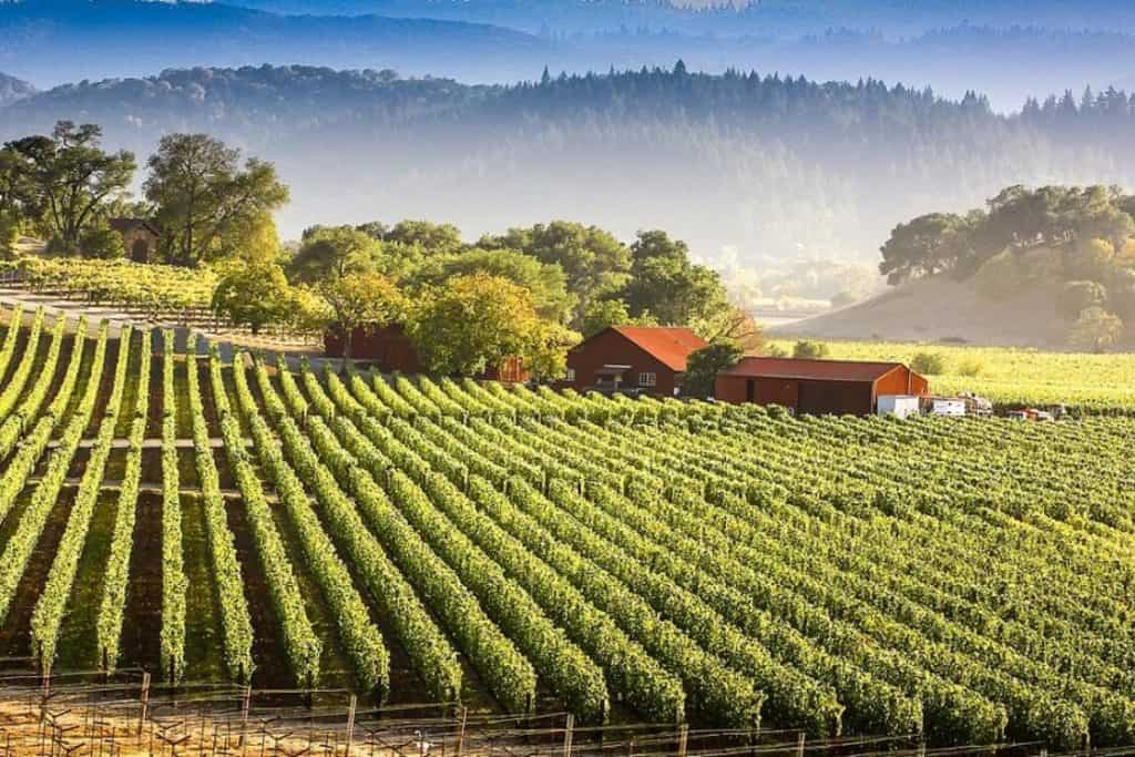 image mejores lugares del mundo napa valley 111 1