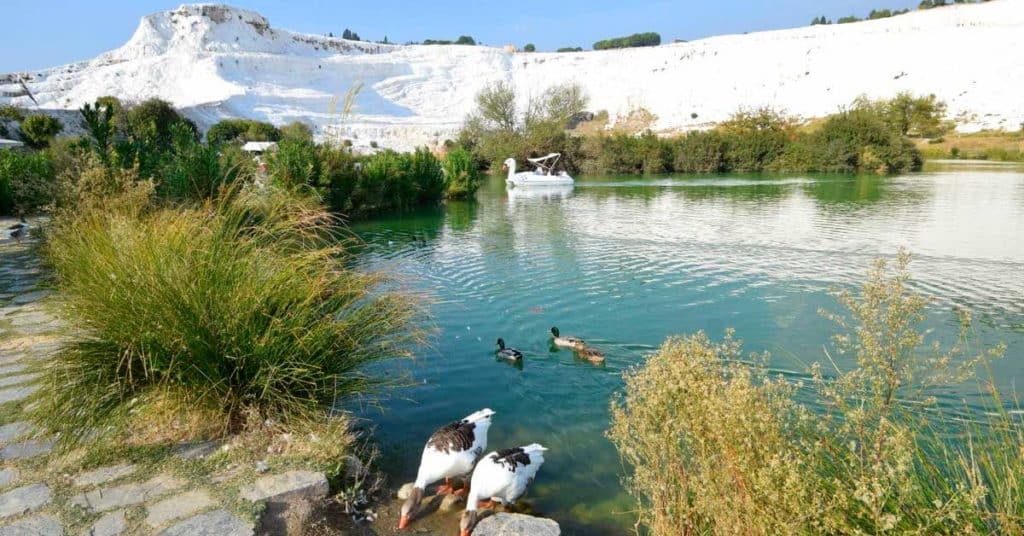 image pamukkale 5