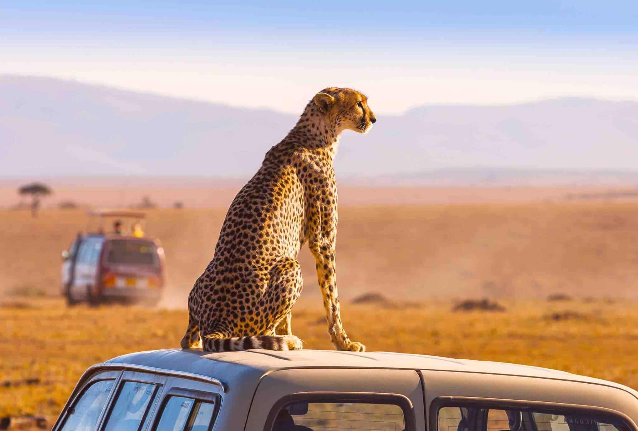 south-africa-tourism