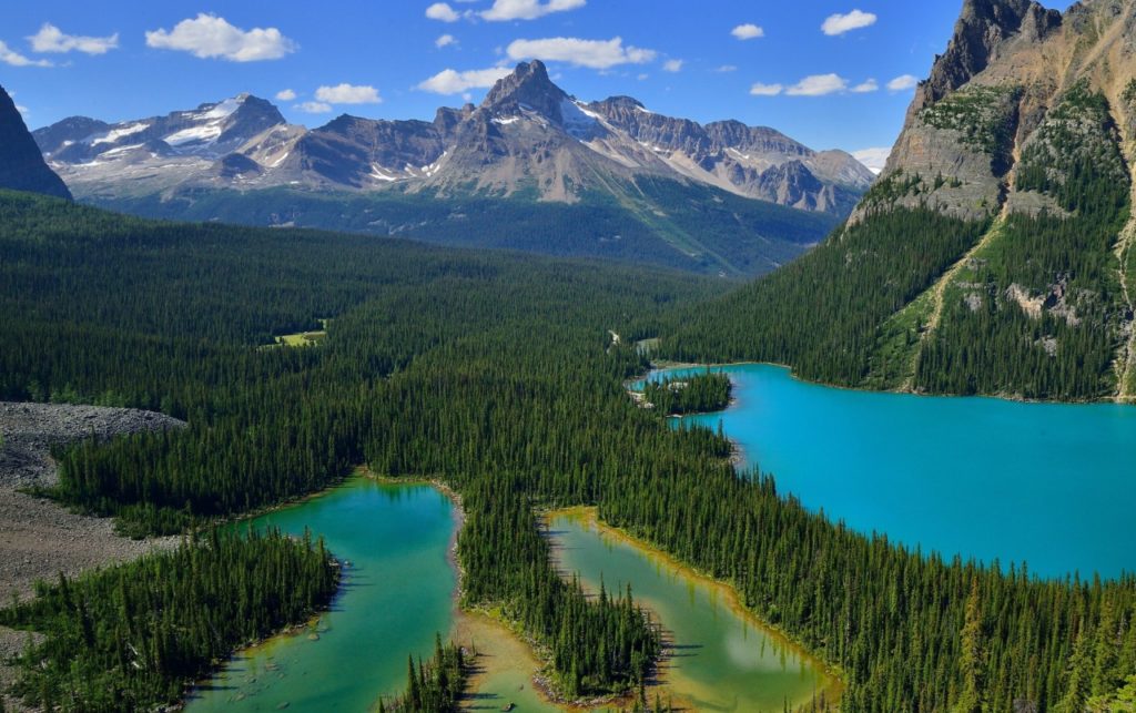 10 Parques Nacionales en Canadá que no puedes dejar de visitar 4 parques nacionales en Canadá