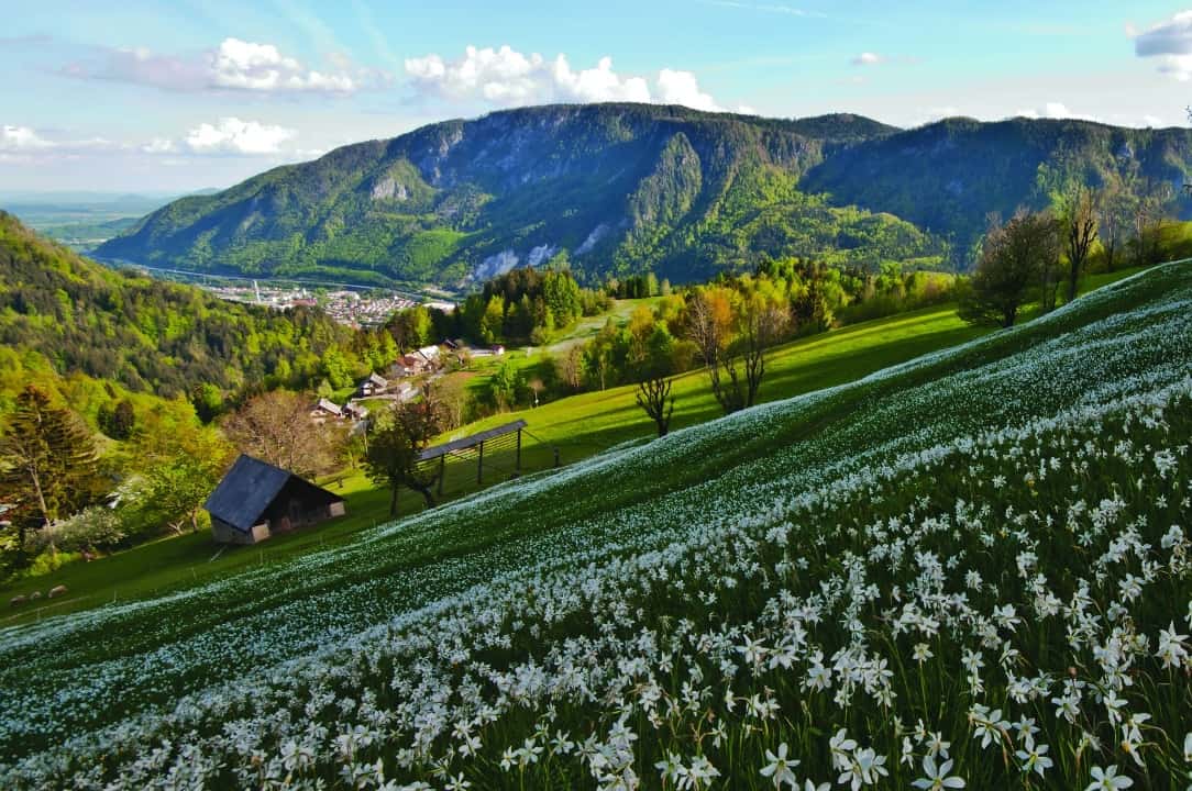 10 imágenes para enamorarse del nuevo sendero de los Alpes Julianos, en Eslovenia 8