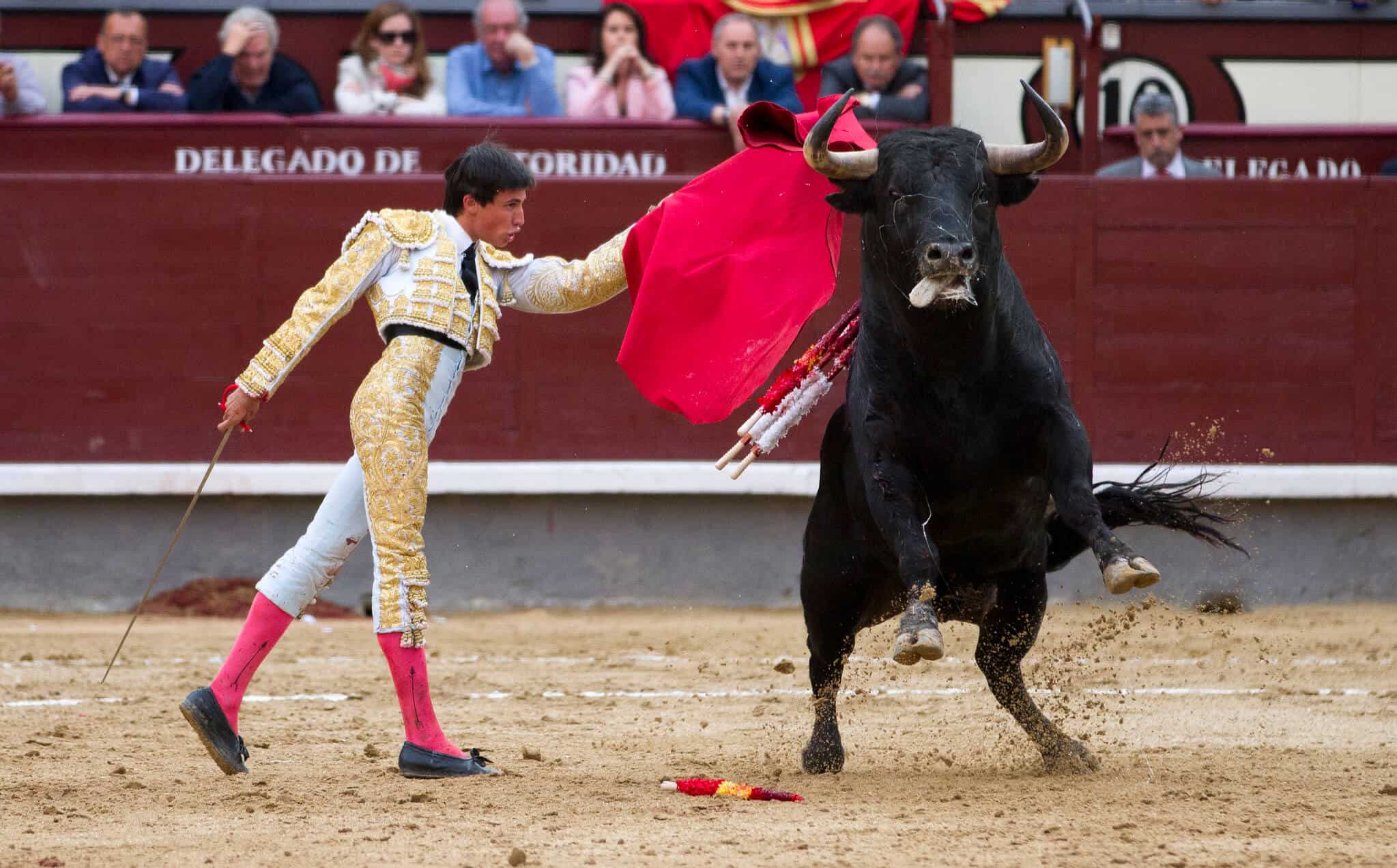 corridas de toros