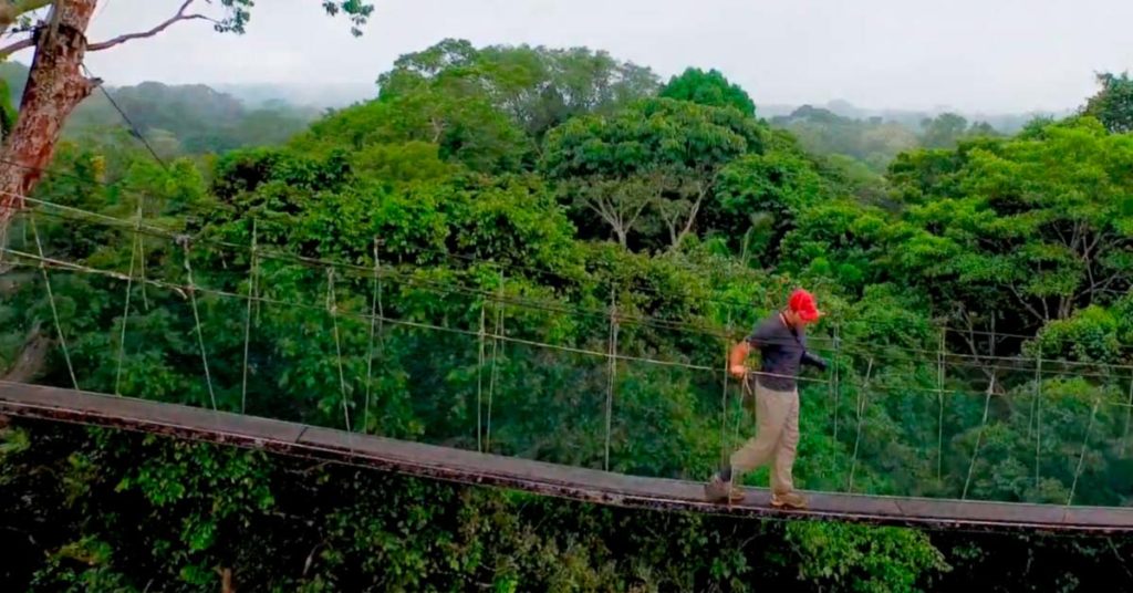 Caminatas en la selva amazónica peruana 