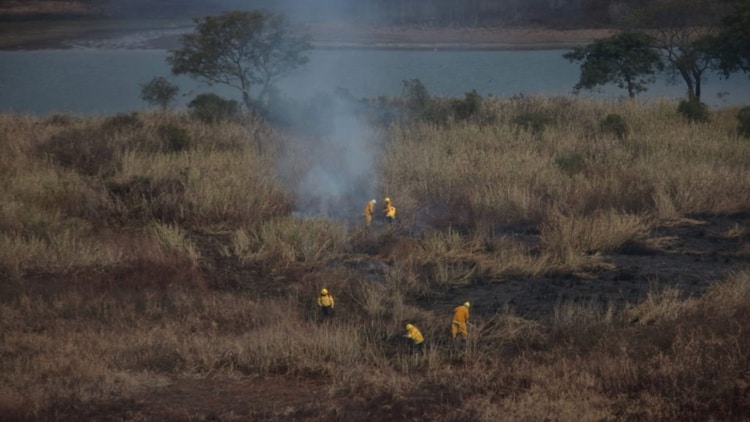 emergencia ambiental en el Delta del Paraná