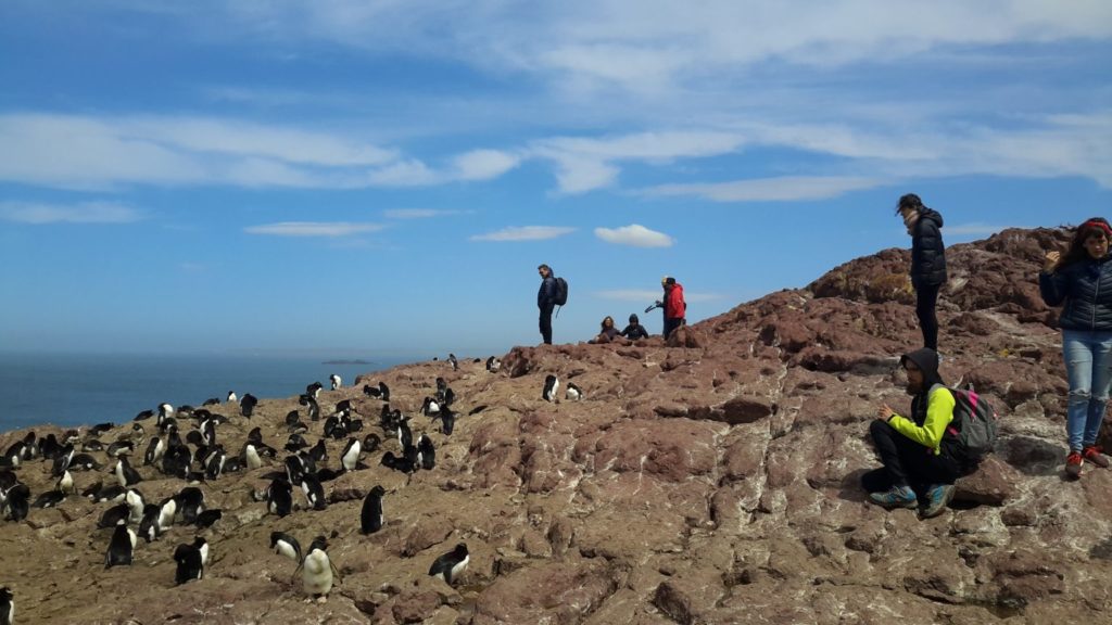 image Patagonia argentina Destinos y circuitos pocos conocidos de la Patagonia cuáles son y dónde encontrarlos 5