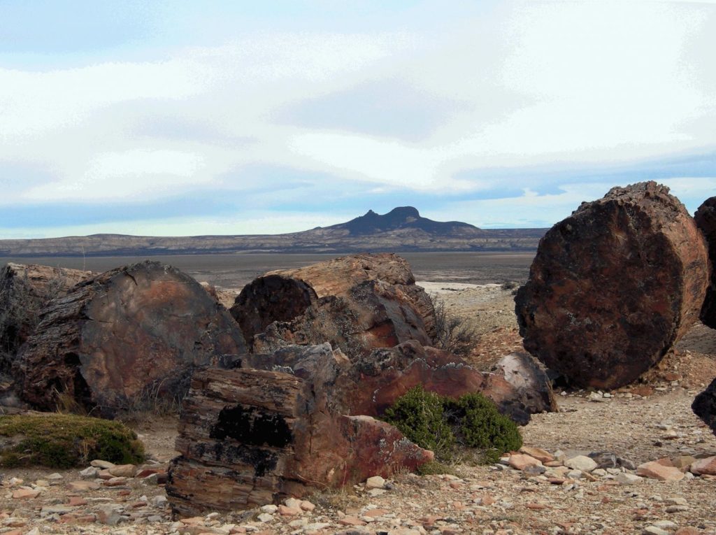 image Patagonia argentina Destinos y circuitos pocos conocidos de la Patagonia cuáles son y dónde encontrarlos 8