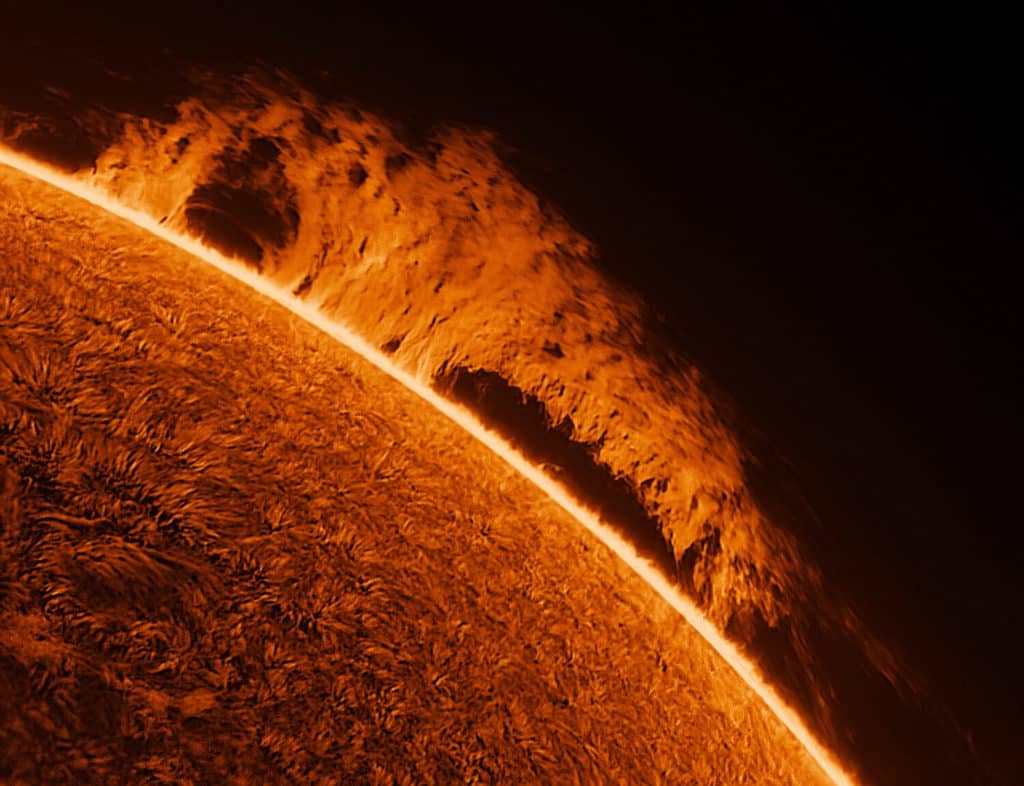 image Incredible Sun Images Garden Kent TRIANGLENEWS 2 1