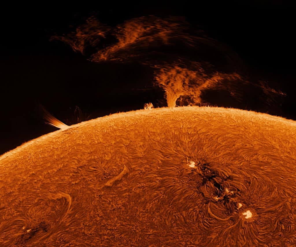 image Incredible Sun Images Garden Kent TRIANGLENEWS 8 1