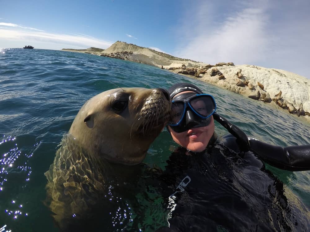 image turismo aventura en argentina Llegan a Puerto Madryn las primeras ballenas de la temporada y la ciudad espera por los turistas de cercanía 3 1