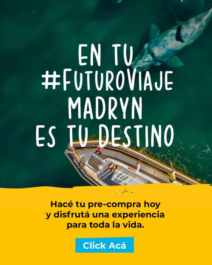 image Llegan a Puerto Madryn las primeras ballenas de la temporada y la ciudad espera por los turistas de cercanía 2